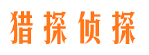 凤凰市调查公司